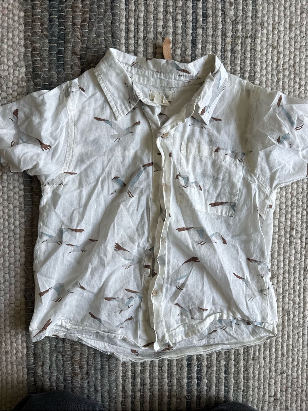 Blue Rooster Collection White Short-Sleeve Seagull Print Button-Down Shirt